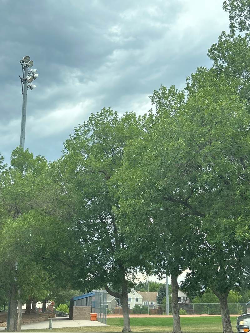 walking near me in Wolff Run Park in summer