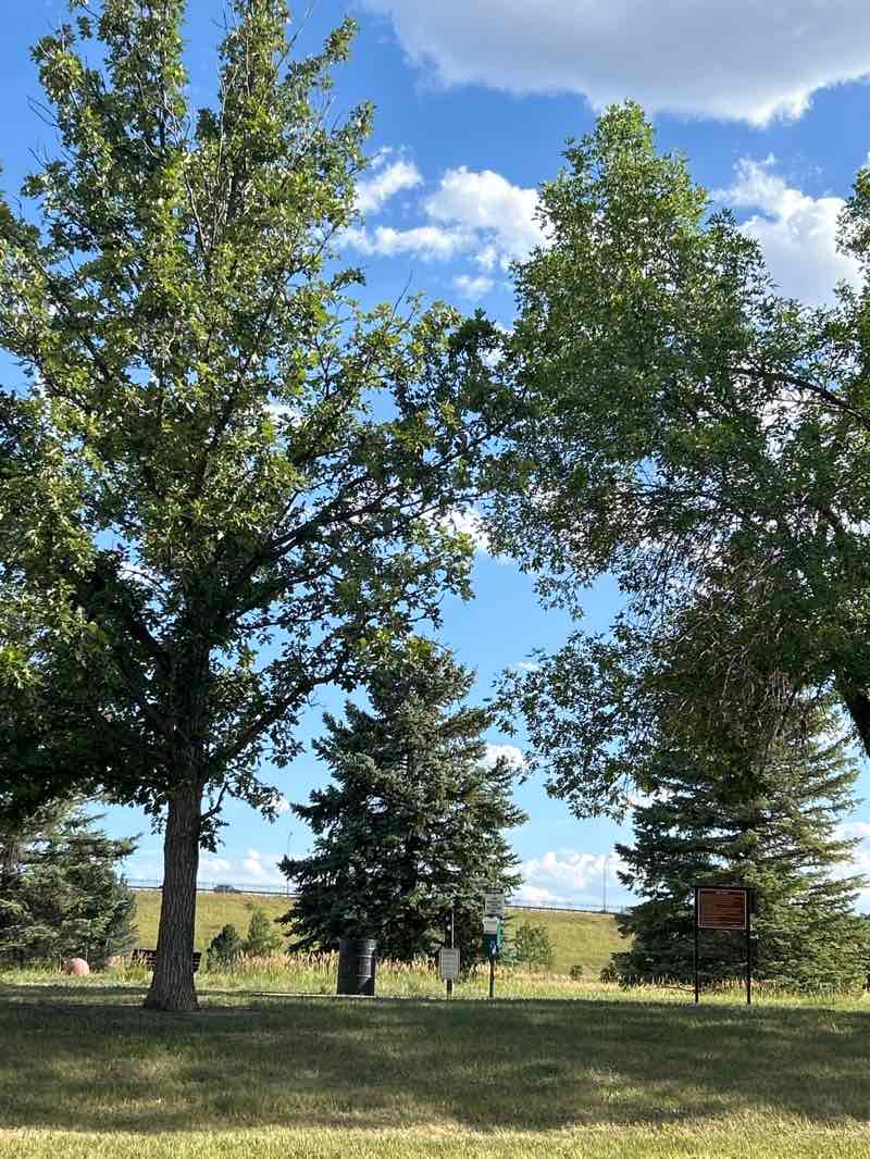 walking near me in Chester - Portsmouth Park in summer