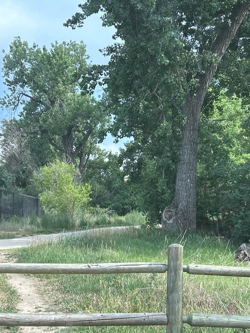 walking near me in Crown Hill Park in summer