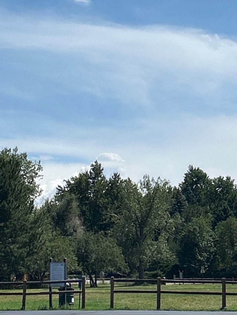 walking near me in Maple Grove Park in summer