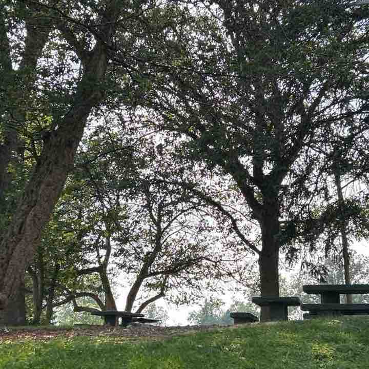 Vi post 1