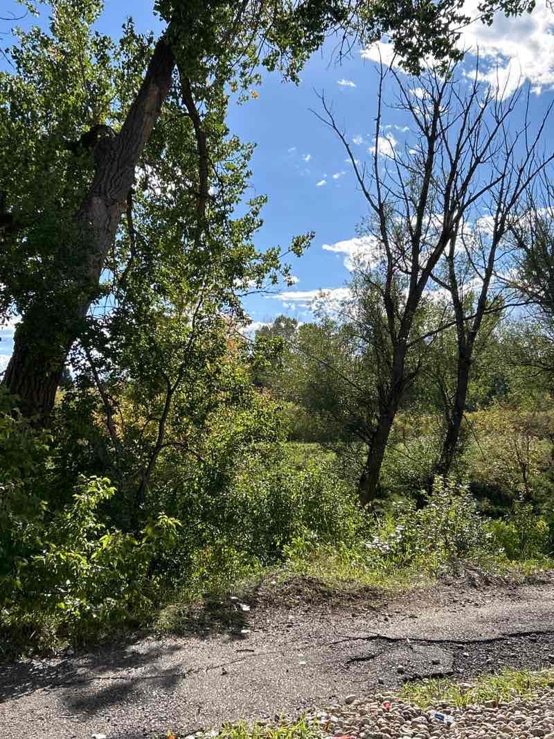 walking near me in Bear Creek Park and Trail in autumn