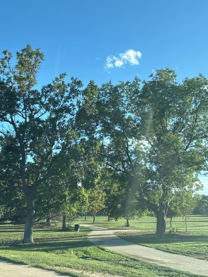 walking near me in David T. Garland Sr. Park in autumn