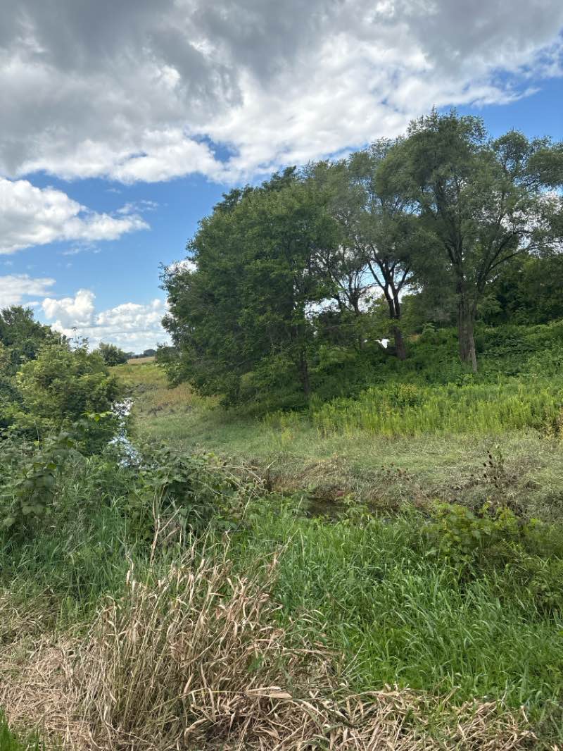 walking near me in Chuck E. Hoscheit Park in autumn