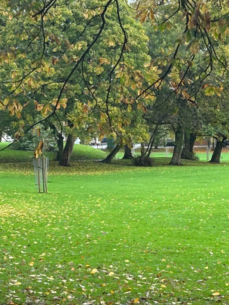 walking near me in Thatto Heath Park in autumn