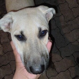 lemme do it for u profile