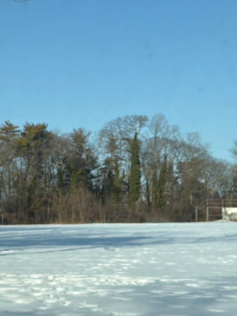 walking near me in Brookwood Hall Park in winter