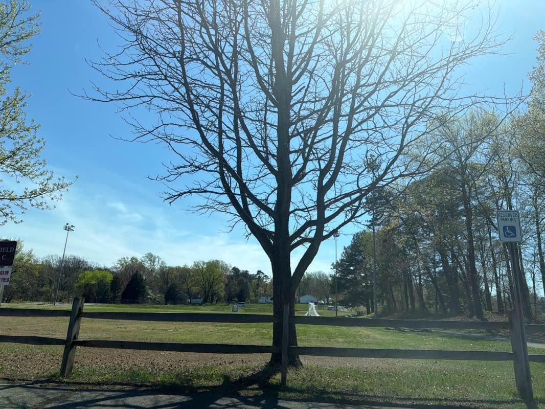 walking near me in Severn-Danza Park in spring