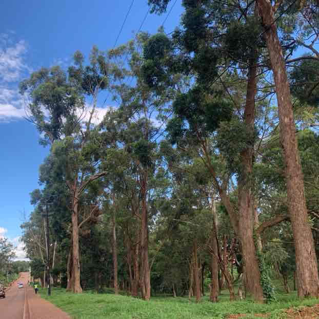 Kirabo post 2