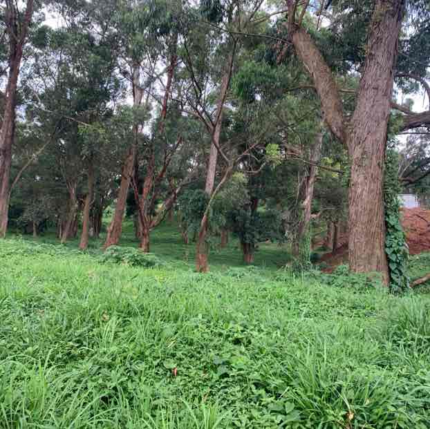 Kirabo post 1