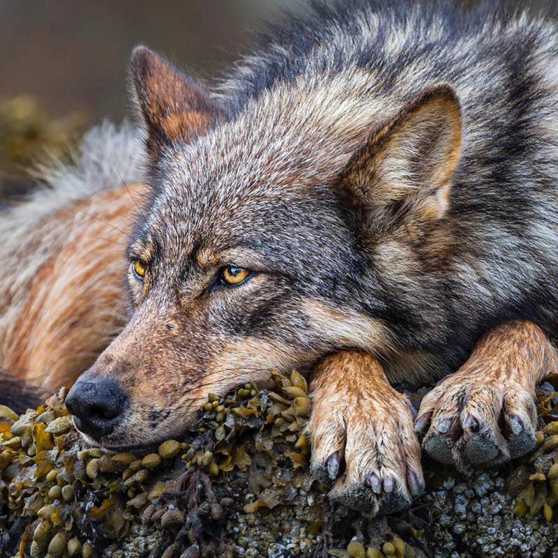 Александр profile