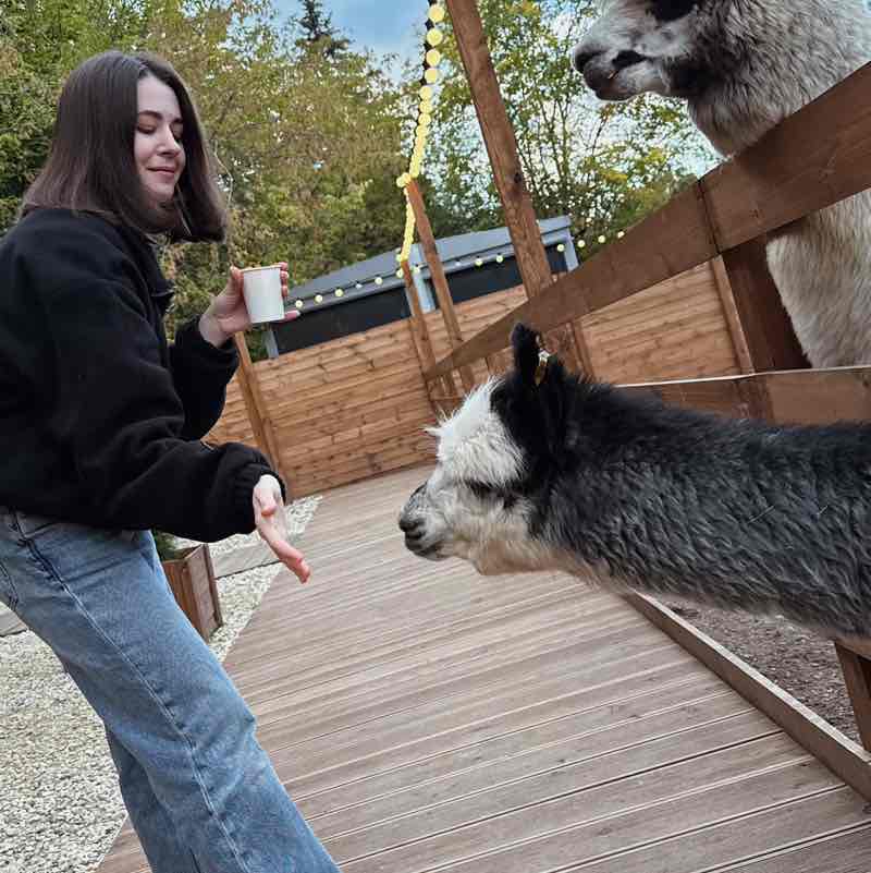 Dantone team Валерия Печугина post image