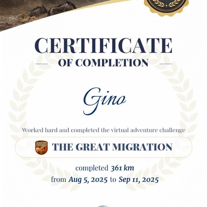 🌺BELGIUM FLOWER🌺 Gino post image