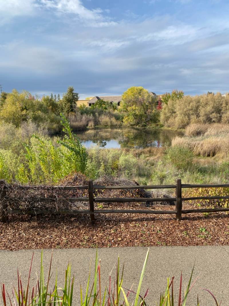 walking near me in Town Center in autumn