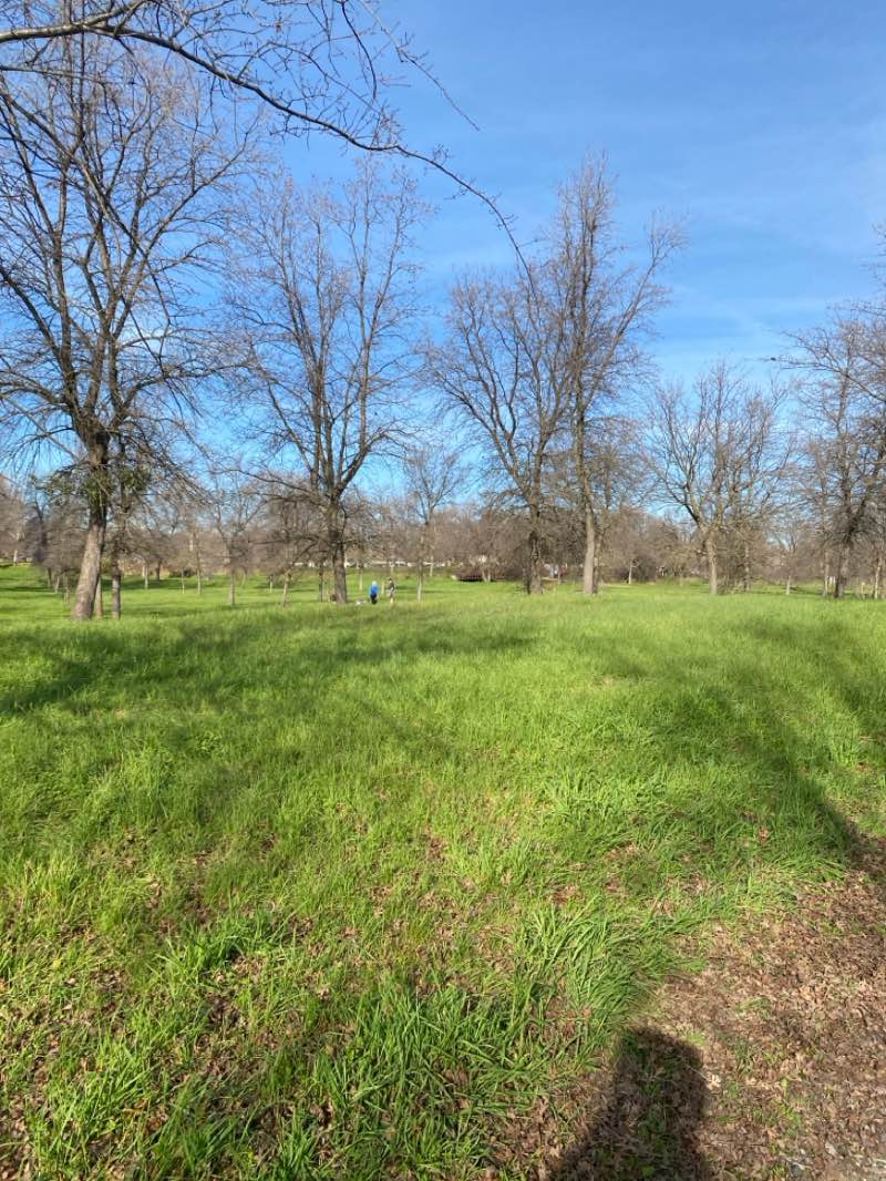 walking near me in Phillip C Cohn Park in winter