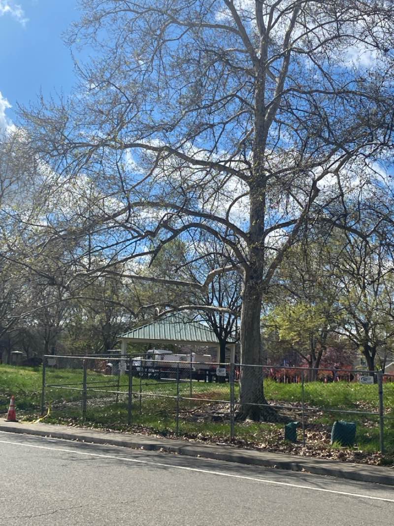 walking near me in Folsom Kids Play Park in spring