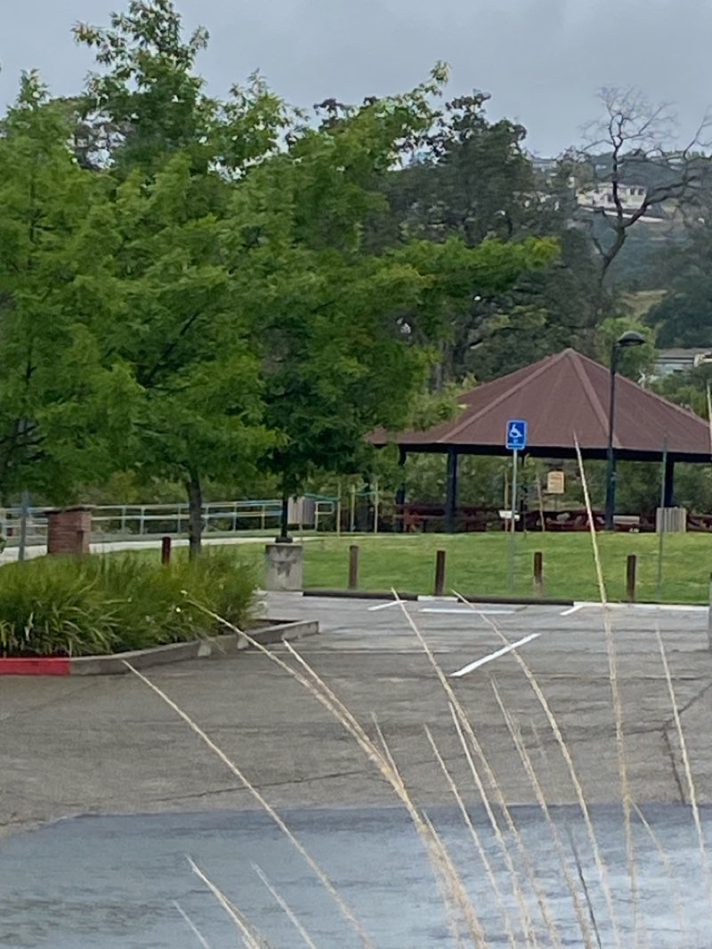 walking near me in Nisenan Community Park in spring