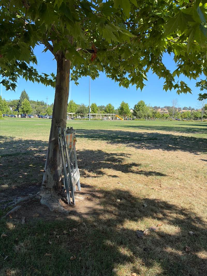 walking near me in Econome Family Park in summer