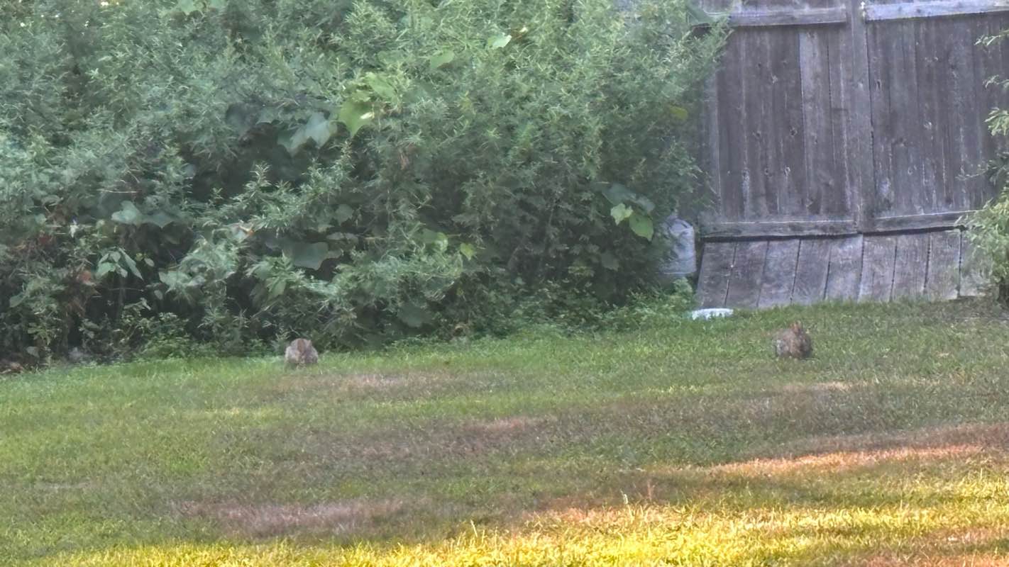 walking near me in Gardner Lake State Park in autumn