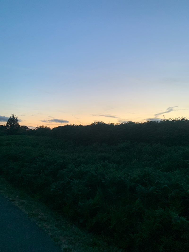 walking near me in Pen-y-fan Country Park in summer