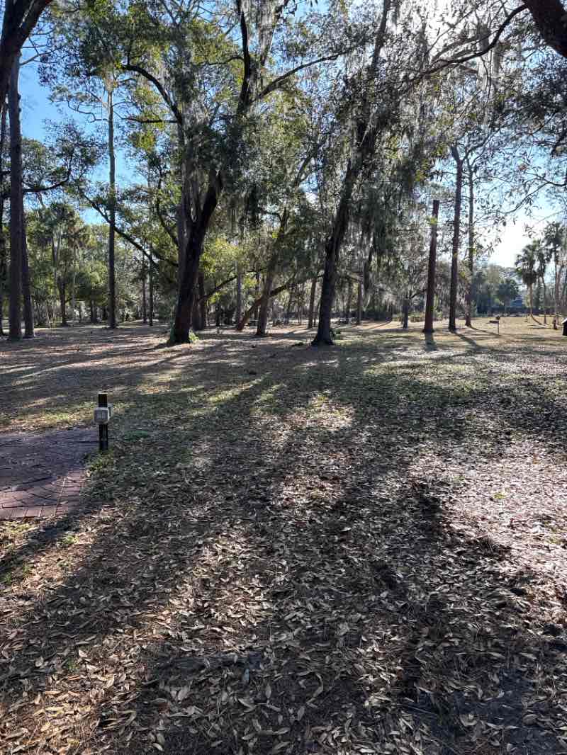 walking near me in Orlando Loch Haven Park in winter
