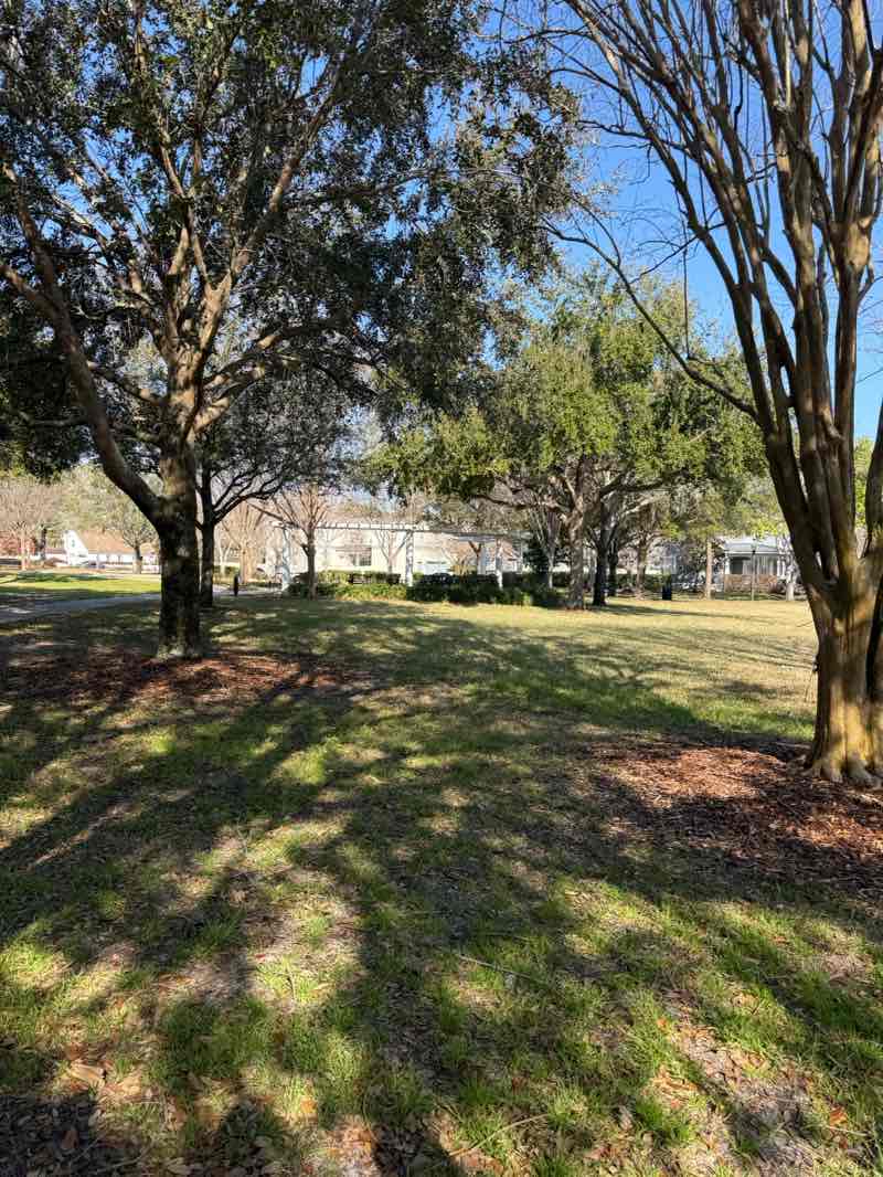 walking near me in Lake Baldwin Park in winter