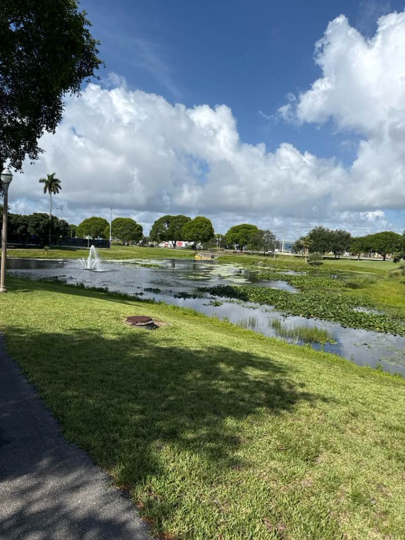 walking near me in Howard Park in summer
