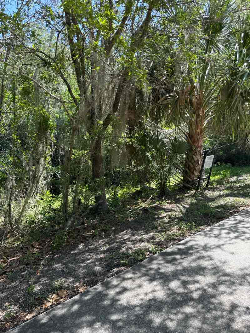 walking near me in Howell Branch Preserve in summer