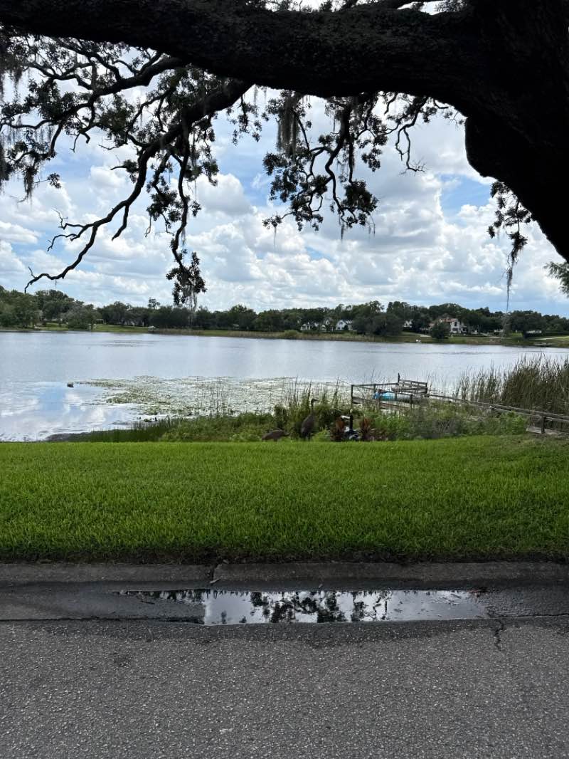 walking near me in Lake Lily Park in summer