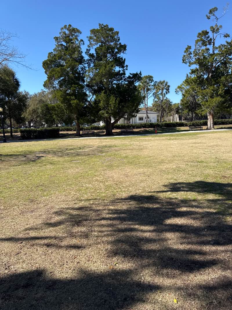 walking near me in Central Park in winter