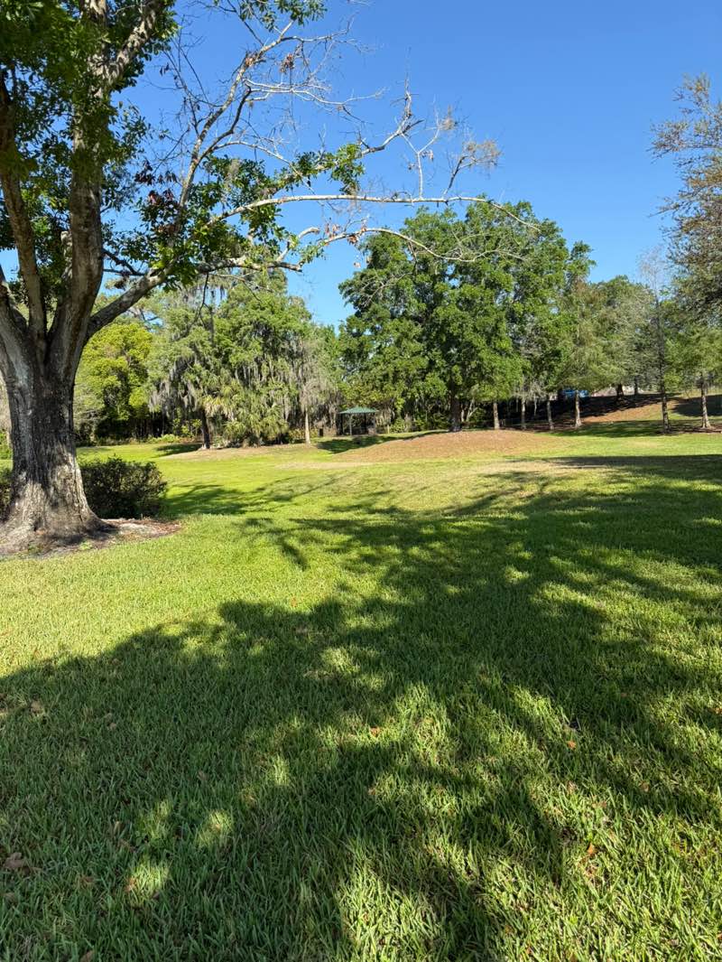 walking near me in Minnehaha Park in spring
