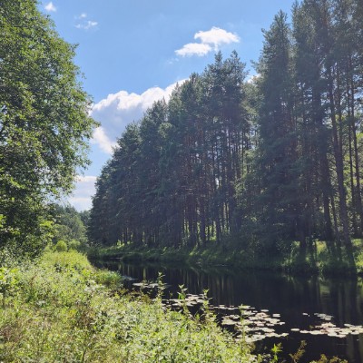 LaWanda Club Elizaveta Kulakova post image