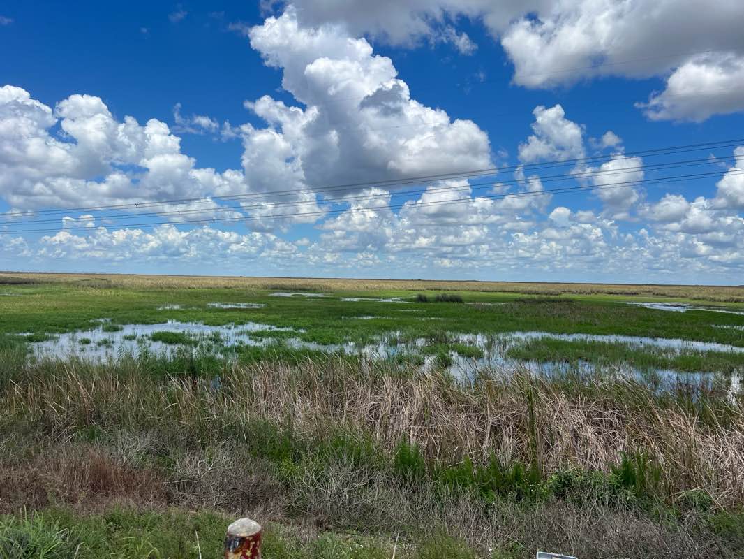 walking near me in Markham Park in autumn