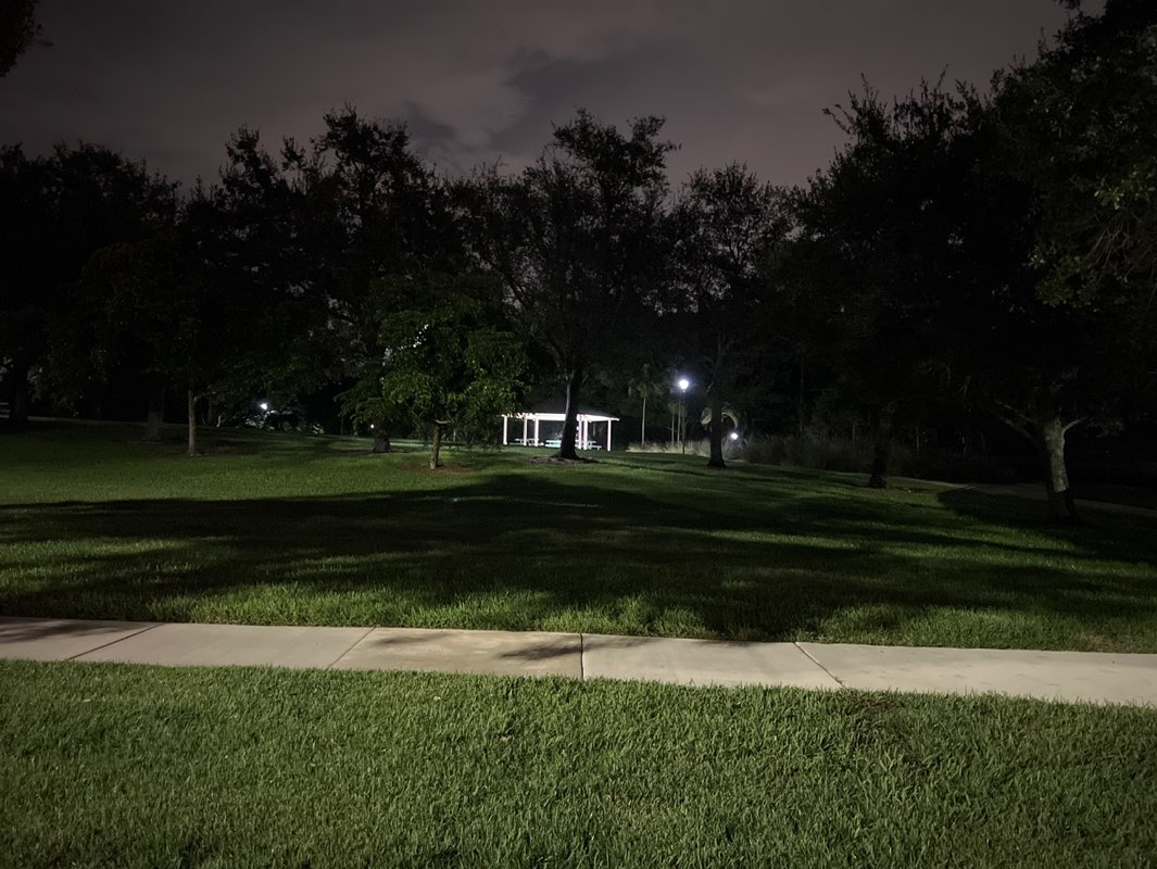 walking near me in Gator Run Park in autumn