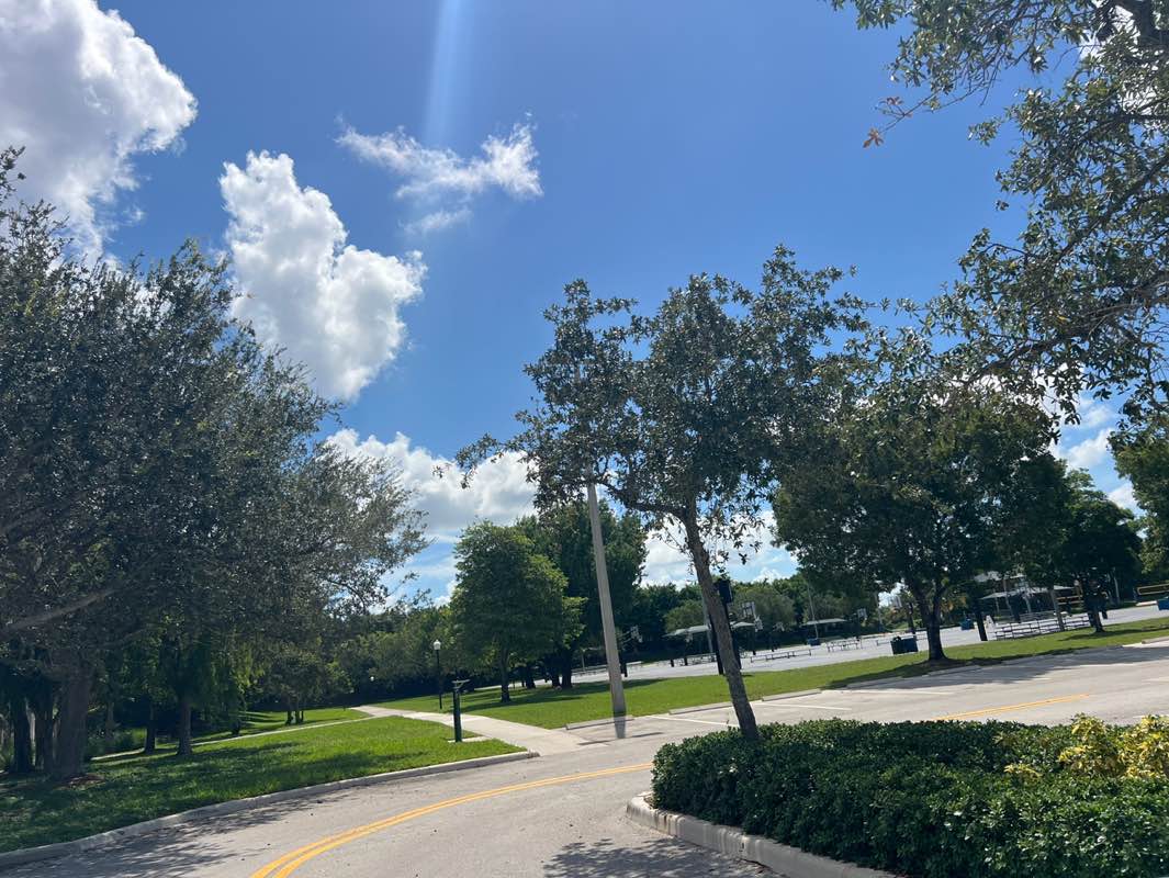 walking near me in Weston Regional Park in autumn