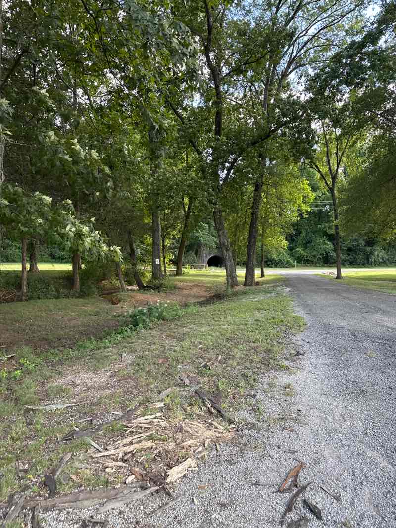 walking near me in Redoubt Soccer Association in autumn