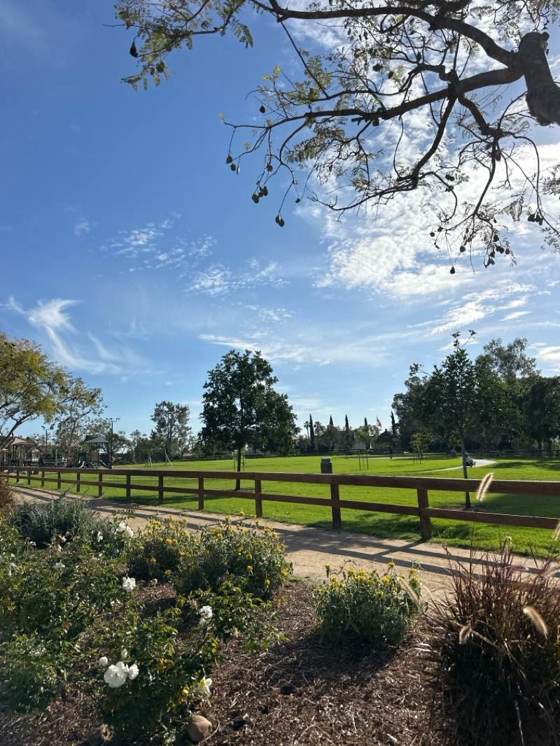 walking near me in Gallup Park in spring