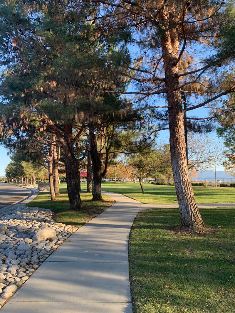 walking near me in Rancho Bella Vista Park in winter