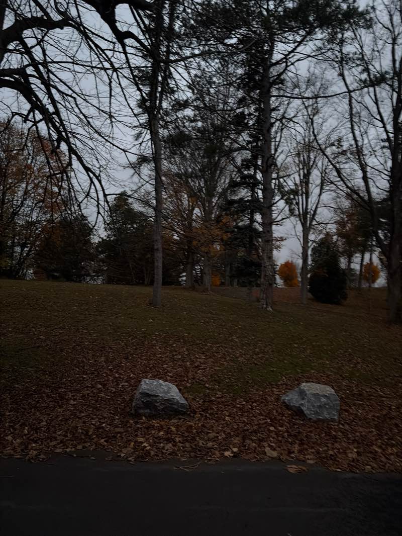 walking near me in Upper Onondaga Park in autumn