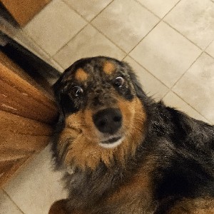 Colton Sleeth profile