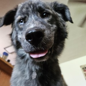 kathy.e.sleeth profile