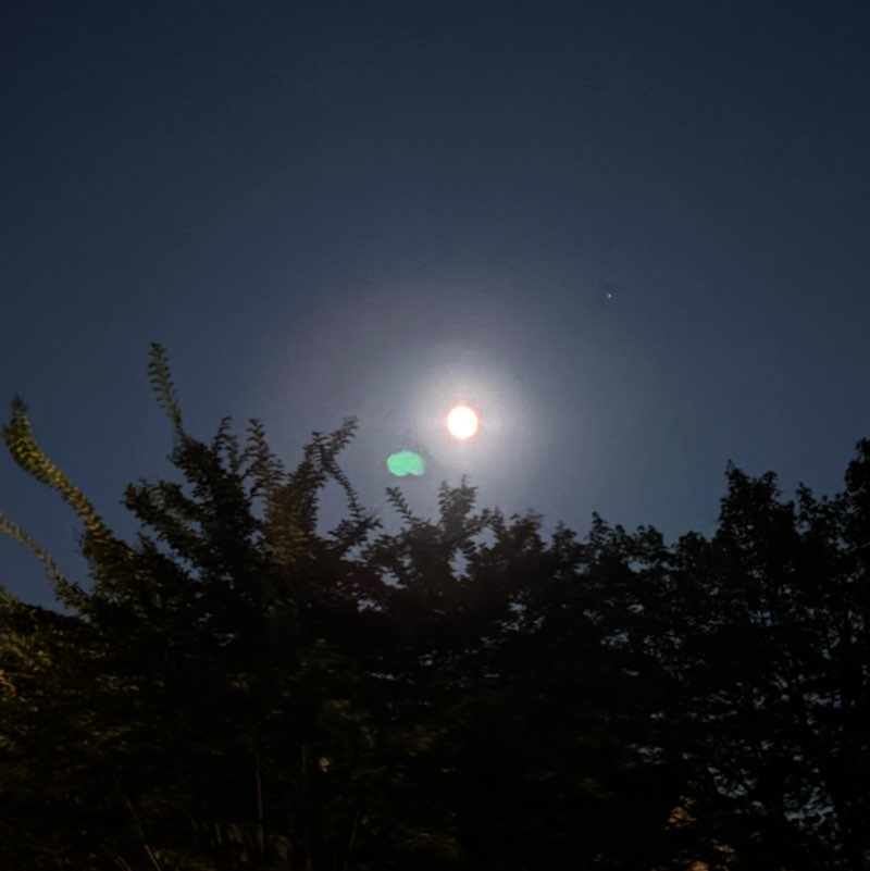 Hum Sath Sath Hain Pankaj post image