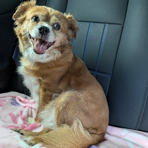 Kassy profile