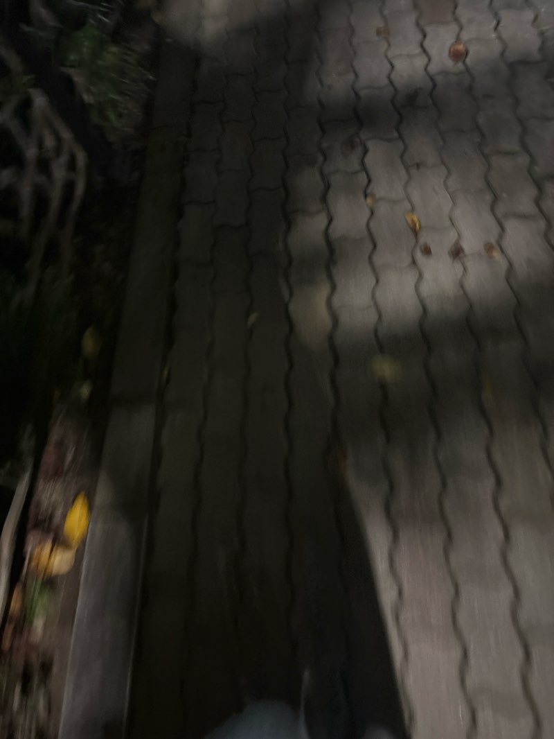 walking near me in 버들어린이공원 in autumn