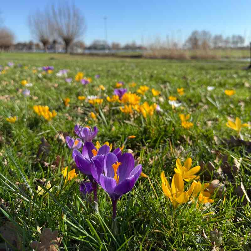 OFSE Digital Footprints Kimberley ๐ณ๐ฑ post image