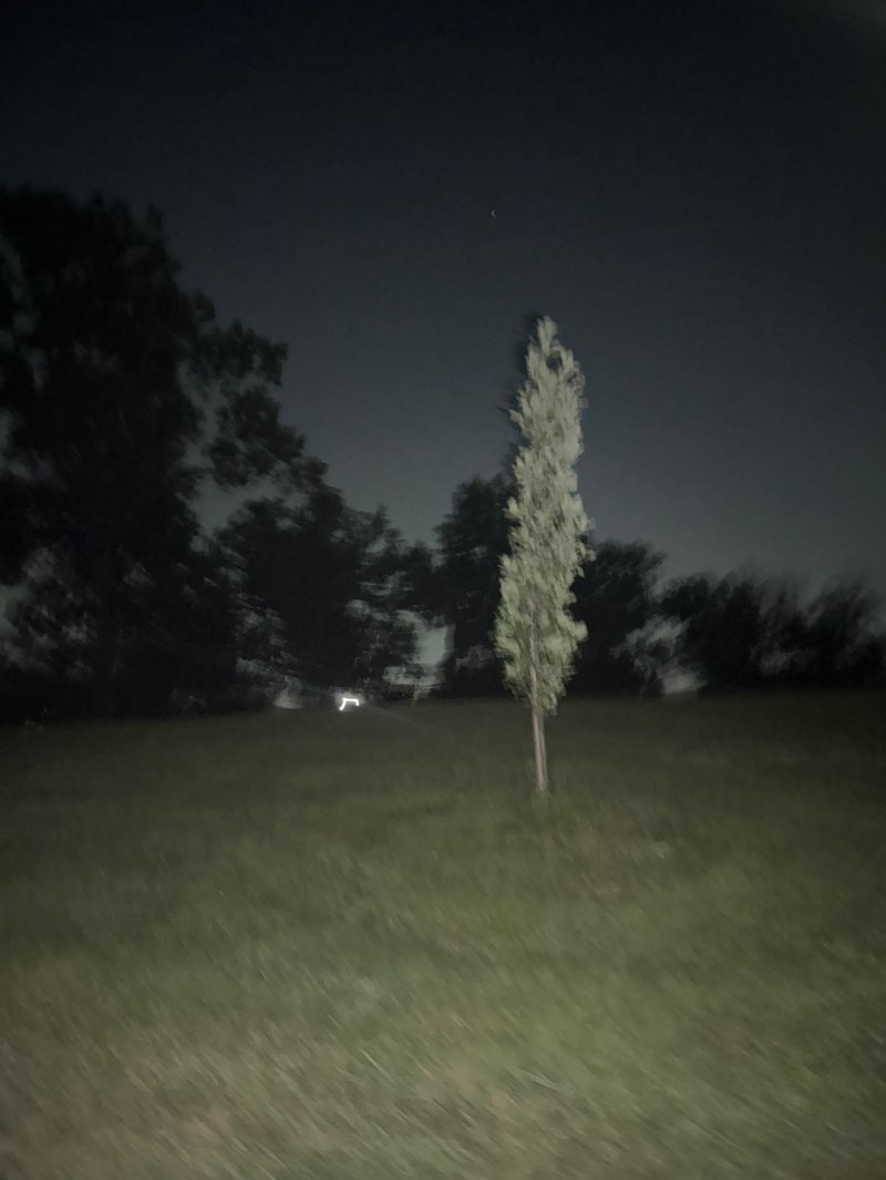 walking near me in Manary Park in summer