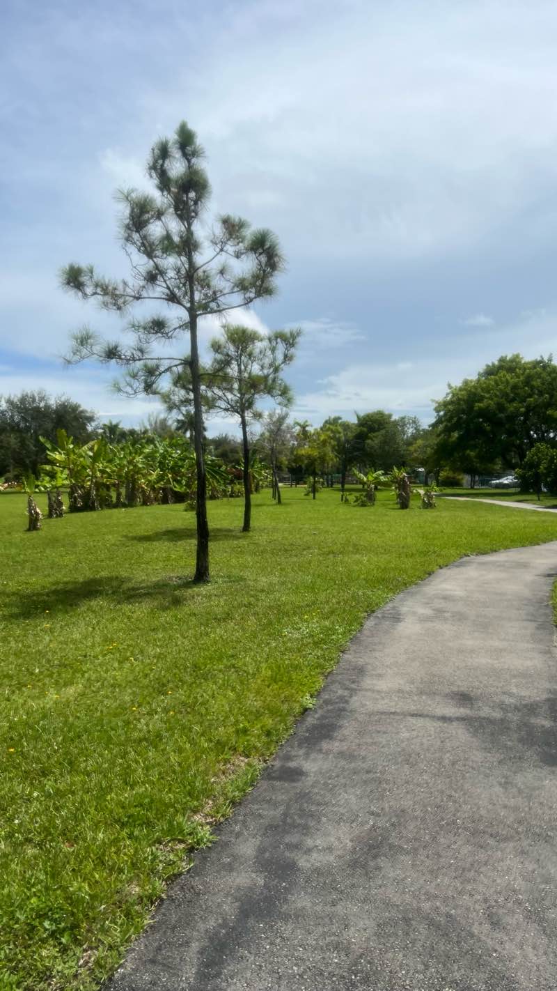 walking near me in Pembroke Park Preserve in autumn