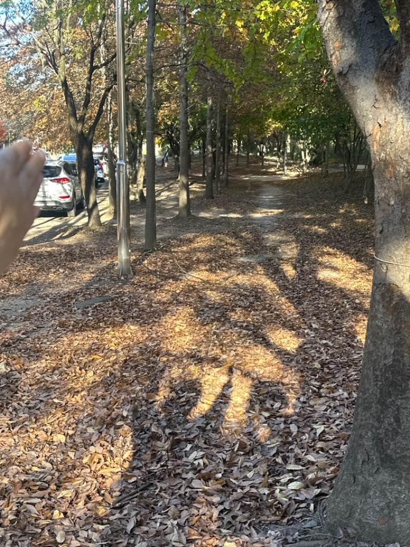 walking near me in 첨단 근린 공원 in autumn