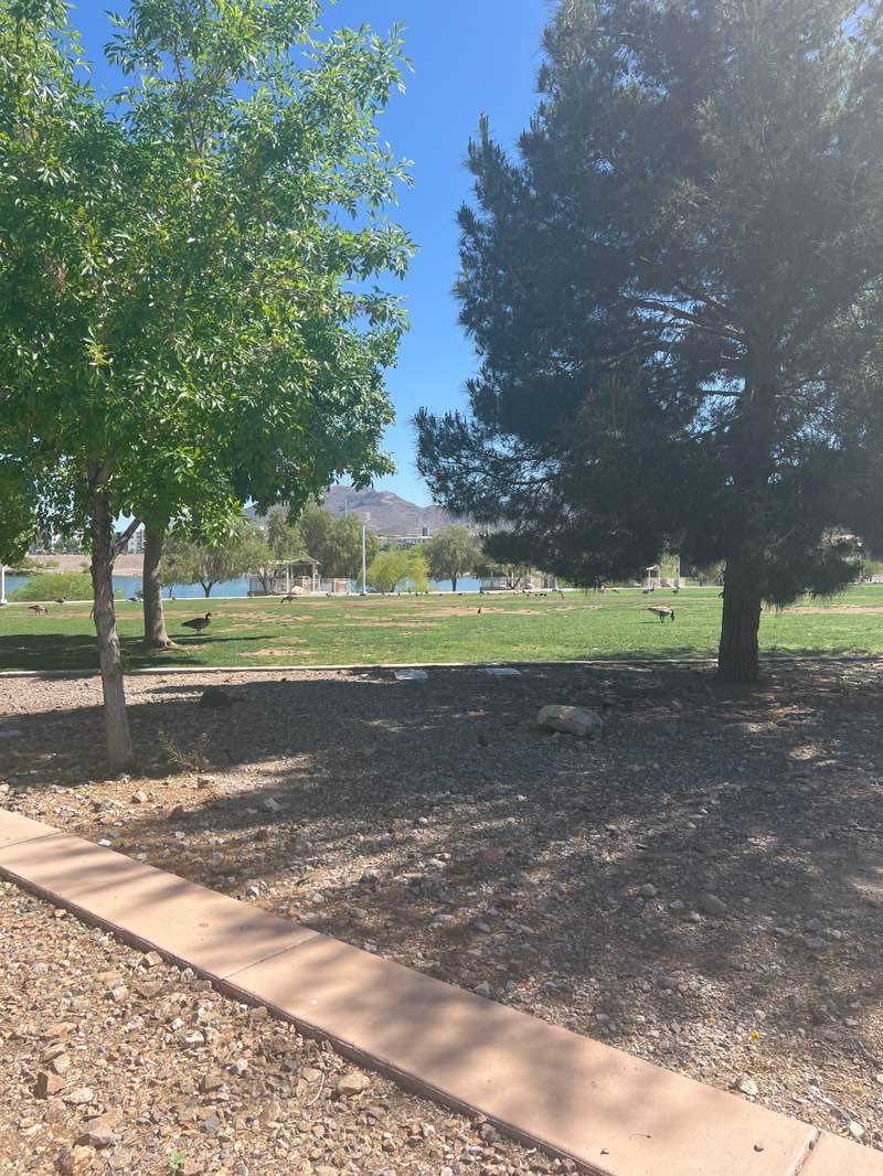walking near me in Cornerstone Park in spring