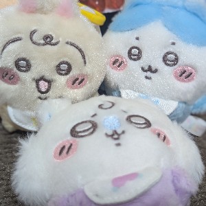 海和真実 profile